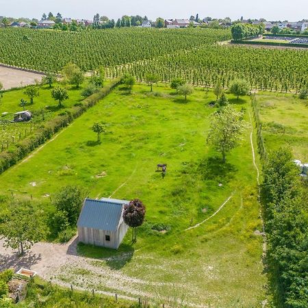 Unique Hideaway, Holiday House With Large Garden Kortenaken Bagian luar foto