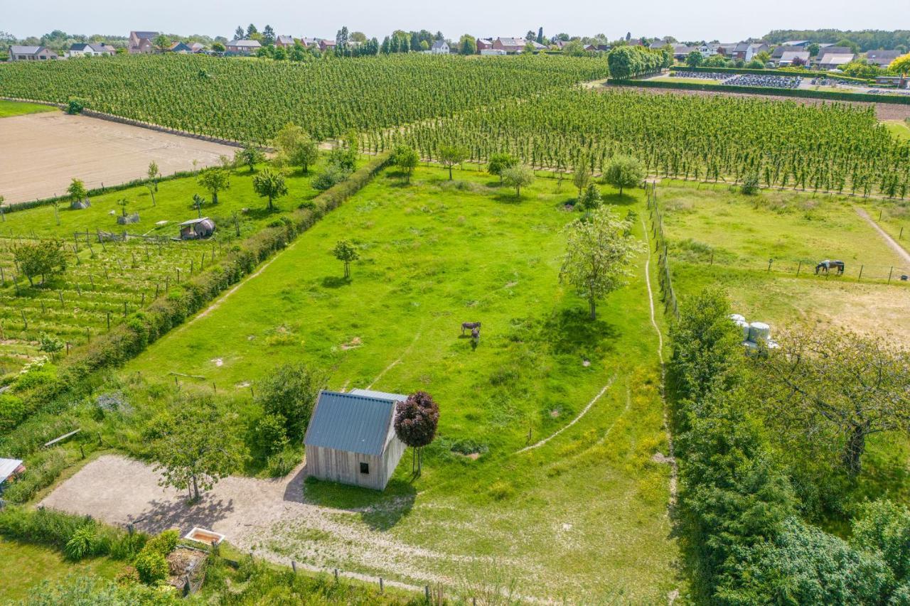Unique Hideaway, Holiday House With Large Garden Kortenaken Bagian luar foto